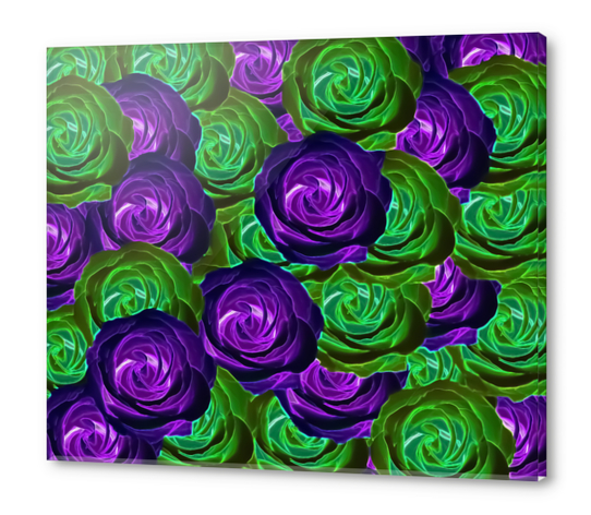 blooming rose texture pattern abstract background in purple and green Acrylic prints by Timmy333