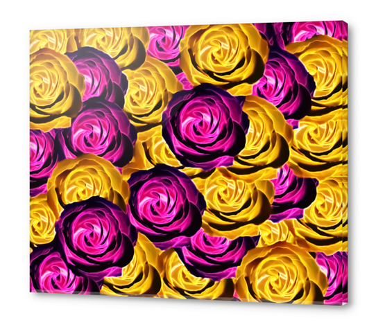 blooming rose texture pattern abstract background in pink and yellow Acrylic prints by Timmy333