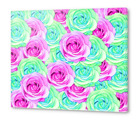 blooming rose texture pattern abstract background in pink and green Acrylic prints by Timmy333