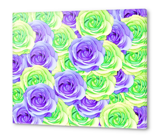purple rose and green rose pattern abstract background Acrylic prints by Timmy333