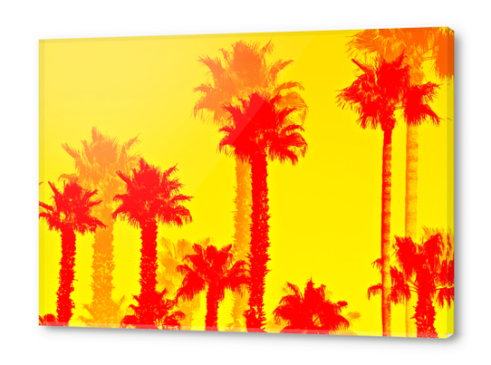 orange palm tree pattern abstract with yellow background Acrylic prints by Timmy333