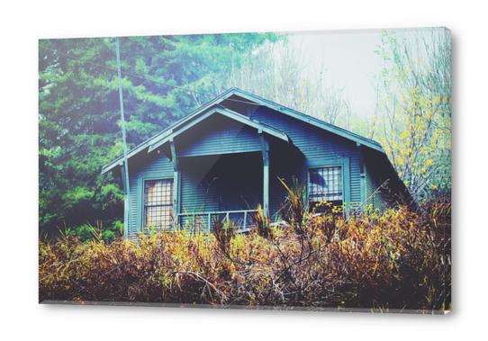 green wooden house in the forest in winter Acrylic prints by Timmy333