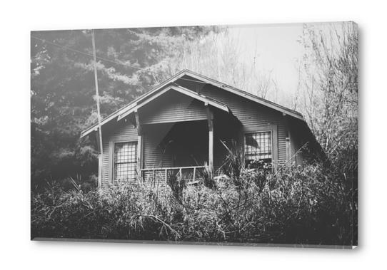 wooden house in the forest with rain in black and white Acrylic prints by Timmy333