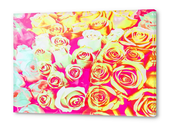 bouquet of roses texture pattern abstract in pink red yellow Acrylic prints by Timmy333