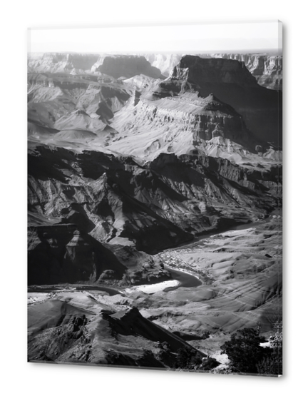 Desert at Grand Canyon national park, USA in black and white Acrylic prints by Timmy333