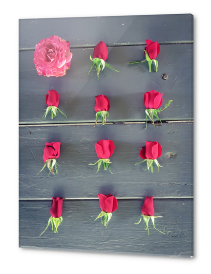 red roses and pink rose on the table Acrylic prints by Timmy333