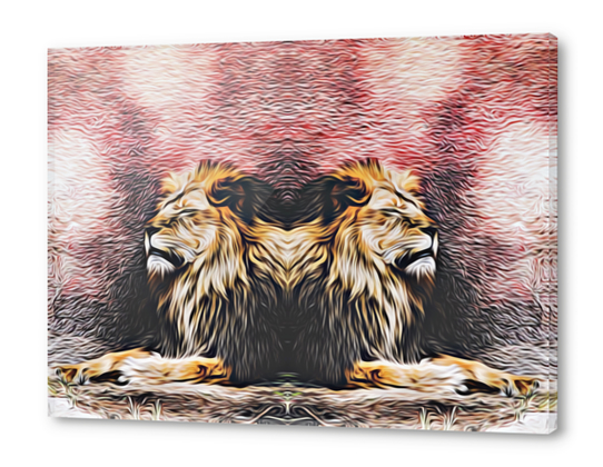 lions sleeping with red background Acrylic prints by Timmy333