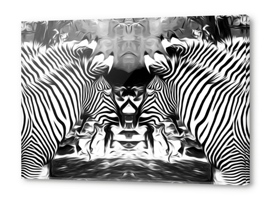 zebras in black and white Acrylic prints by Timmy333