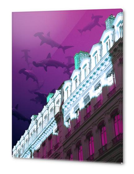 Building in Lyon Acrylic prints by Ivailo K