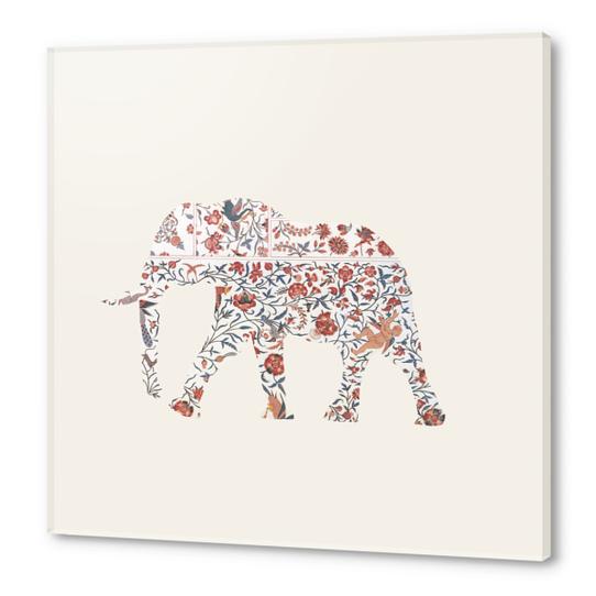 Elephant Acrylic prints by Oleg Borodin