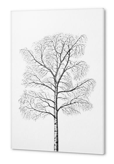 Tree Acrylic prints by Nika_Akin