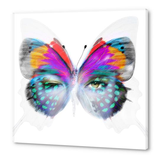 Masque Papillon Acrylic prints by Vic Storia