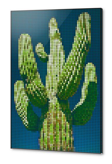 Cactus circle Acrylic prints by Vic Storia