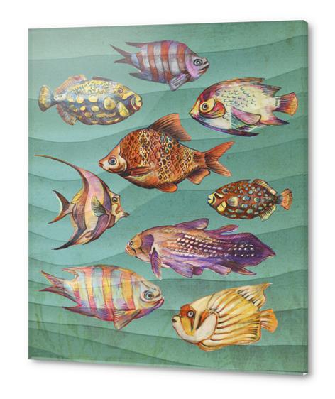 Fishes Acrylic prints by Georgio Fabrello