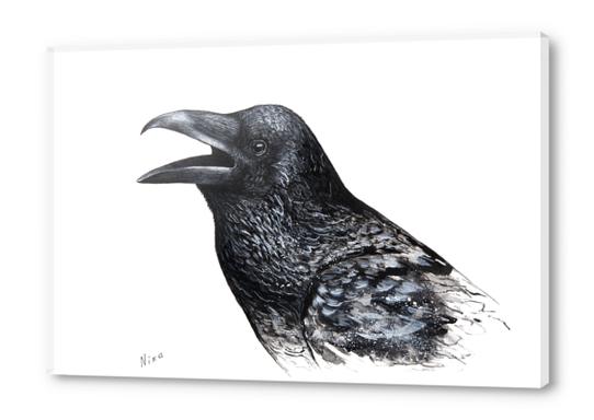 Crow Acrylic prints by Nika_Akin