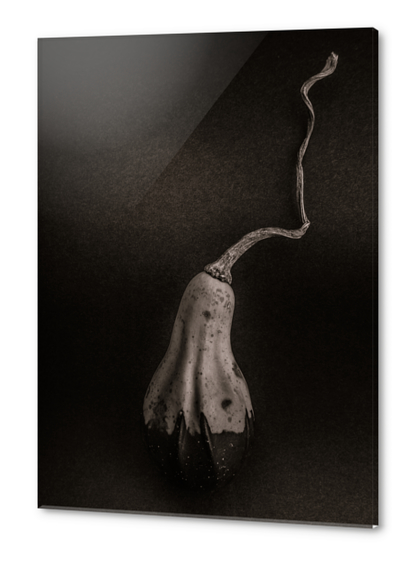 Gourds No 12 Acrylic prints by The Learning Curve Photography