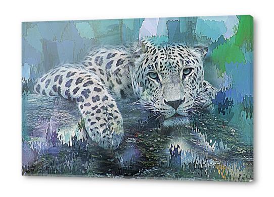 Leopard Acrylic prints by Galen Valle