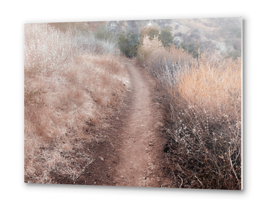 walkway on the mountain with dry grass field Metal prints by Timmy333