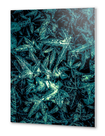 green leaves texture abstract background Metal prints by Timmy333