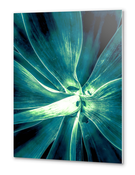 green succulent leaves texture abstract Metal prints by Timmy333