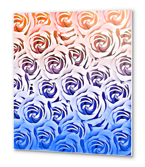 rose pattern texture abstract background in pink and blue Metal prints by Timmy333