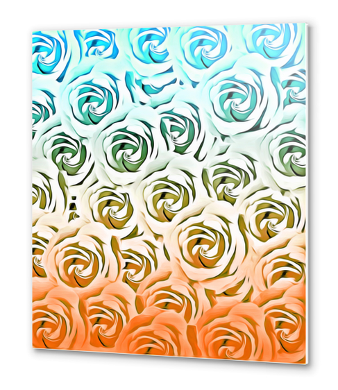 blooming rose pattern texture abstract background in blue and pink Metal prints by Timmy333