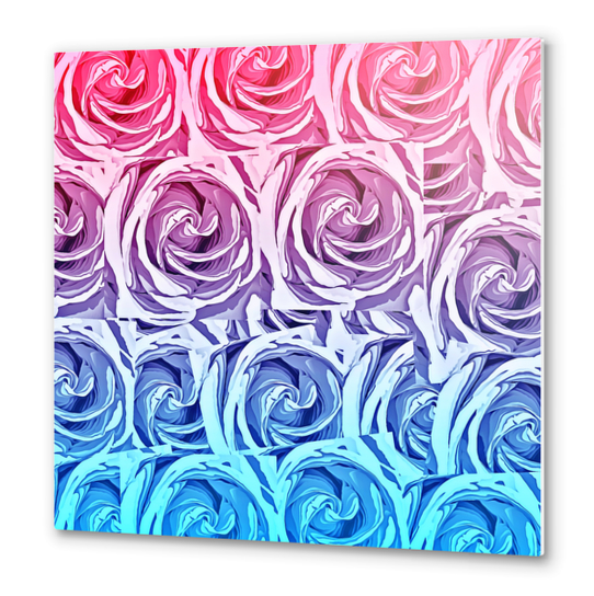 closeup pink rose and blue rose texture pattern abstract background Metal prints by Timmy333