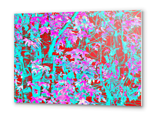 pink maple tree leaf with blue and red abstract background Metal prints by Timmy333