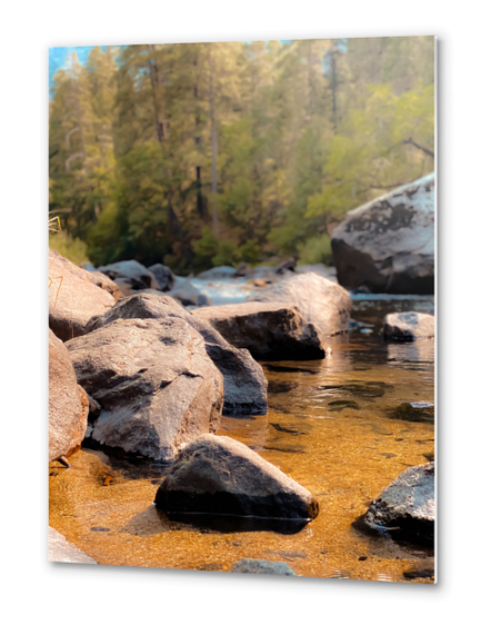 river in the forest and pine tree at Yosemite national park USA Metal prints by Timmy333