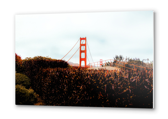 Golden Gate Bridge with blue cloudy sky at San Francisco, USA Metal prints by Timmy333