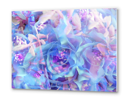 blooming blue rose texture abstract background Metal prints by Timmy333