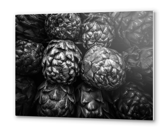 closeup artichoke texture background in black and white Metal prints by Timmy333