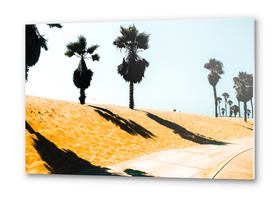 palm tree and summer sandy beach at Oxnard Beach, California, USA Metal prints by Timmy333