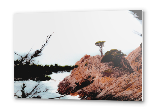 isolated tree with ocean view at Big Sur Highway1 California USA Metal prints by Timmy333