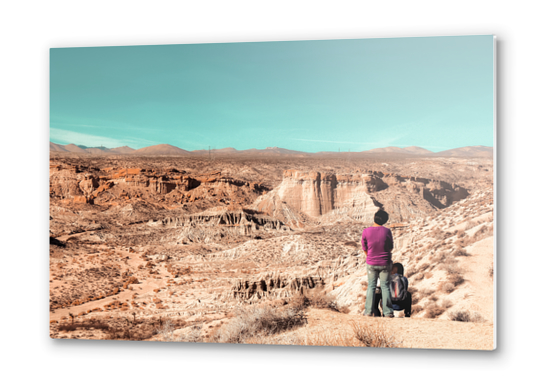 Desert landscape at Red Rock Canyon State Park California USA Metal prints by Timmy333