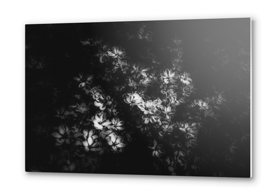 blooming flowers background in black and white Metal prints by Timmy333