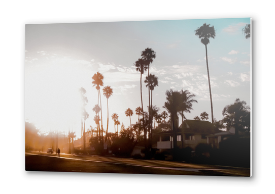 sunset sky in summer with palm tree view in California USA Metal prints by Timmy333