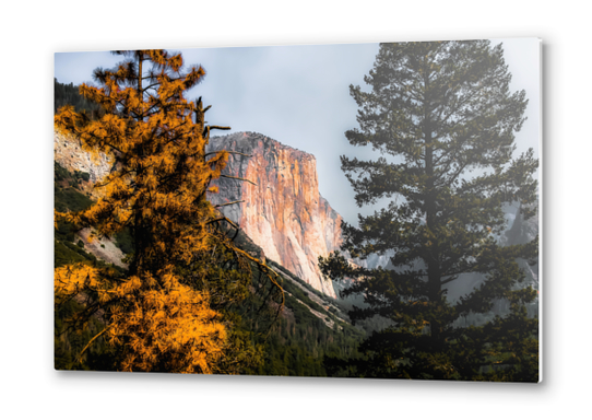 Mountains with autumn tree Yosemite national park, California, USA Metal prints by Timmy333