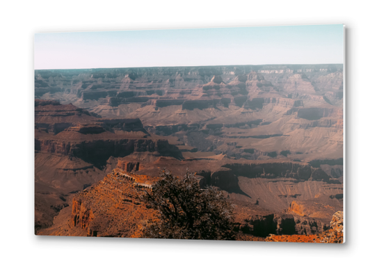 Desert layer at Grand Canyon national park USA Metal prints by Timmy333