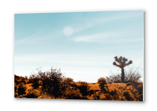 Cactus and desert view at Red Rock Canyon State Park California USA Metal prints by Timmy333