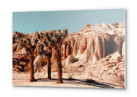 Desert and cactus at Red Rock Canyon State Park California USA Metal prints by Timmy333