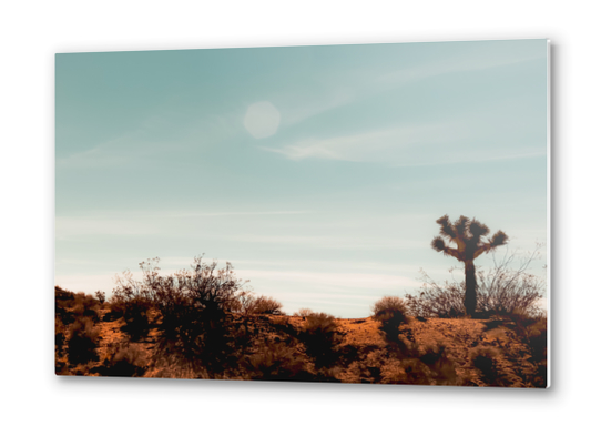Cactus and desert view at Red Rock Canyon State Park California USA Metal prints by Timmy333