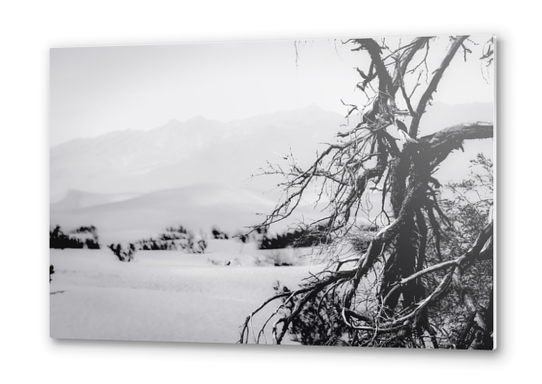 desert at Death Valley national park California in black and white Metal prints by Timmy333