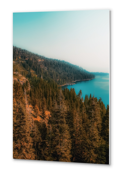 pine tree and lake at Emerald Bay Lake Tahoe California USA Metal prints by Timmy333