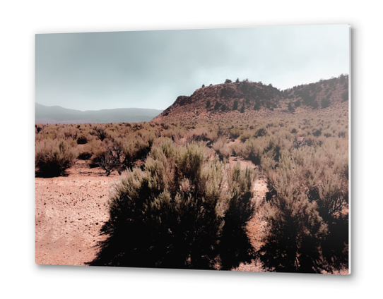 Desert scenic with foggy blue sky in California USA Metal prints by Timmy333