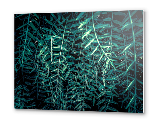 green leaf texture abstract background Metal prints by Timmy333