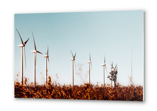 desert and windmill with blue sky in California, USA Metal prints by Timmy333