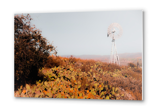 windmill and green cactus garden with mountain view and blue sky background Metal prints by Timmy333