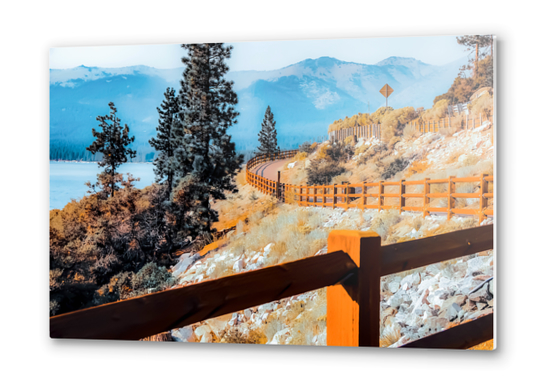 walkway with pine tree and mountains view at Lake Tahoe, Nevada, USA Metal prints by Timmy333