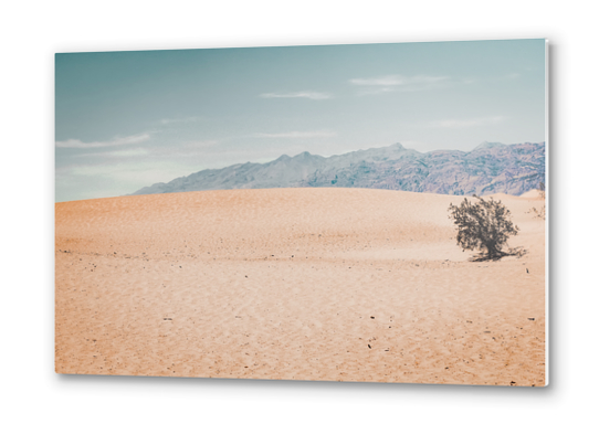 Sand desert and mountain view at Death Valley national park California USA Metal prints by Timmy333